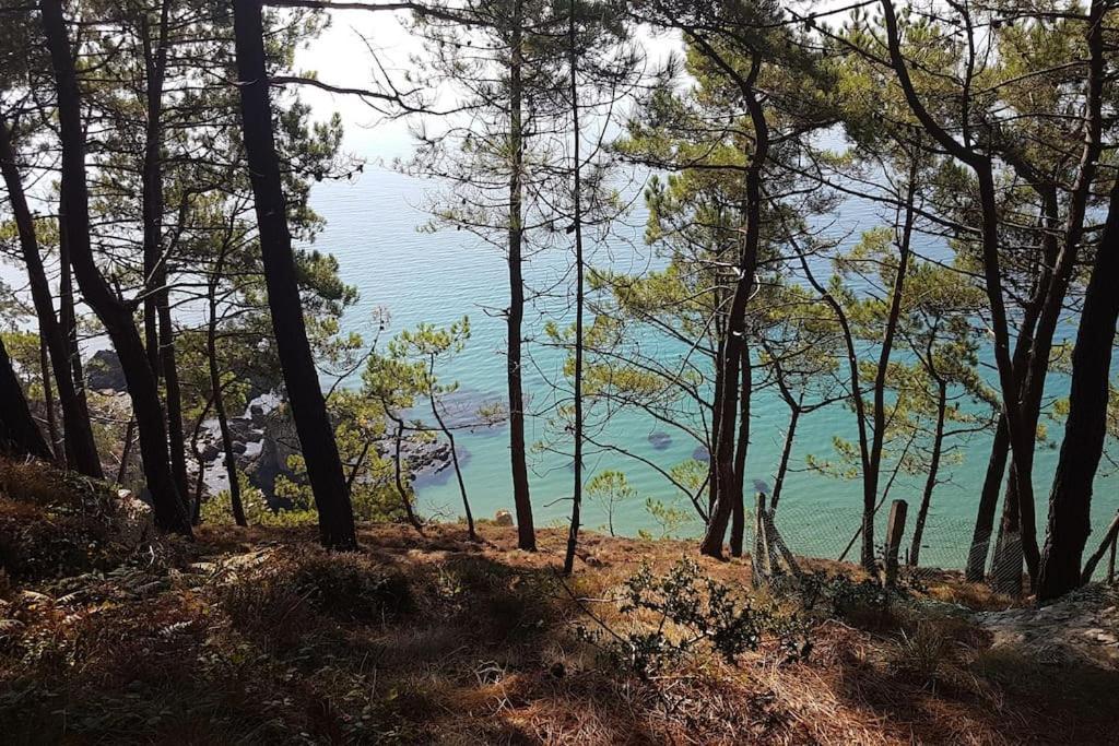 Ferienwohnung Chez Nany, Chaleureux Duplex Sur Le Port De Morgat Crozon Exterior foto